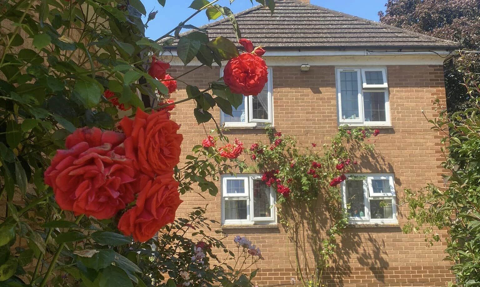 Paul Flowers Tiverton Ri at Jonathan Rice blog